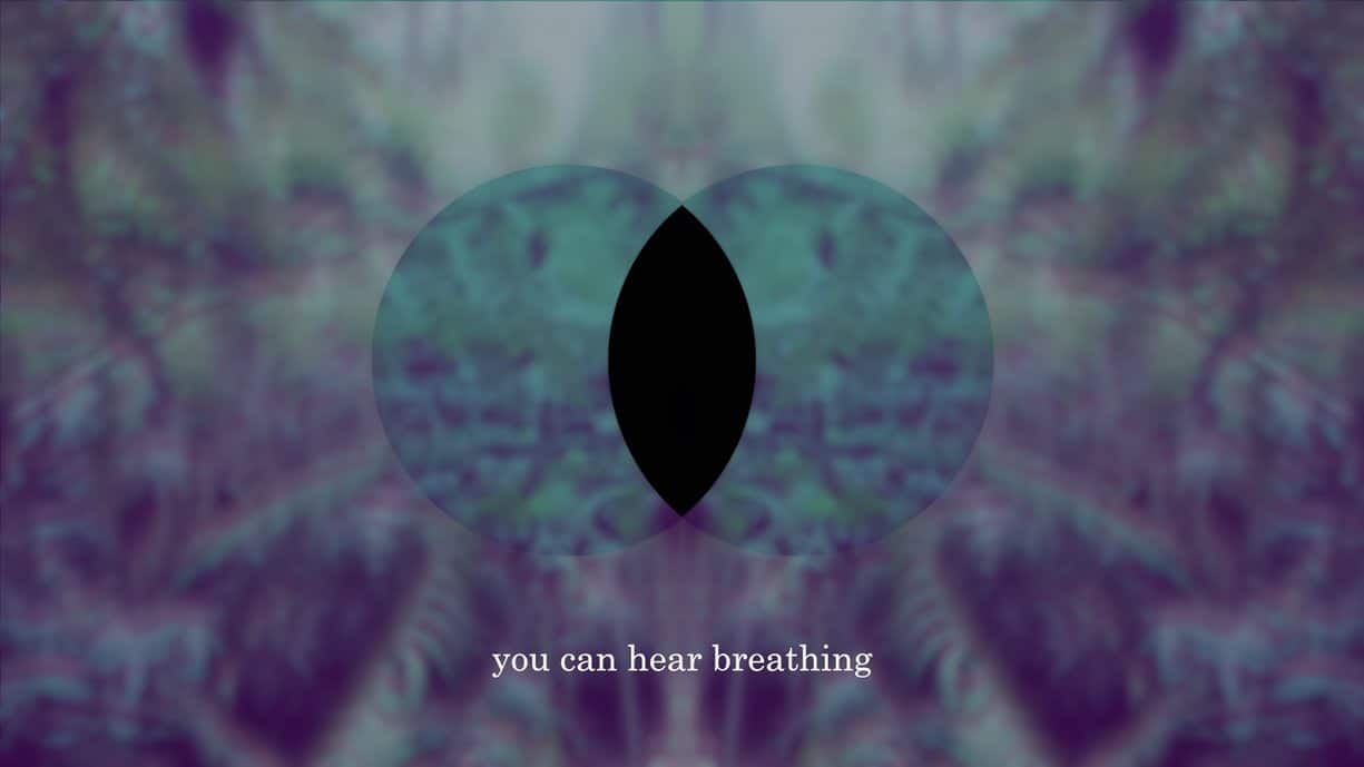 Decolonist Meditation Still: artwork by Katie West.